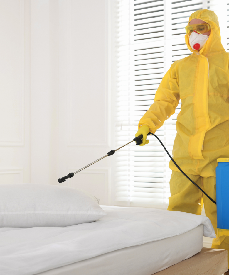 Professional Pest Control Team in Eastwood